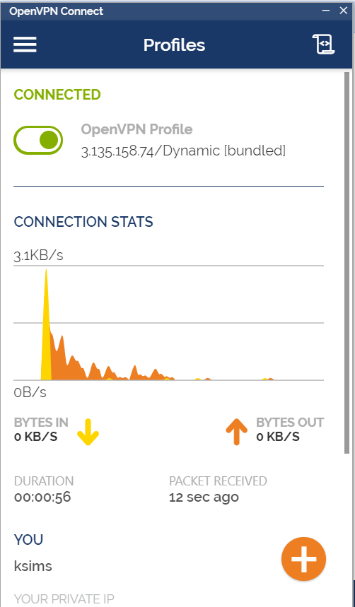 openvpn connection page