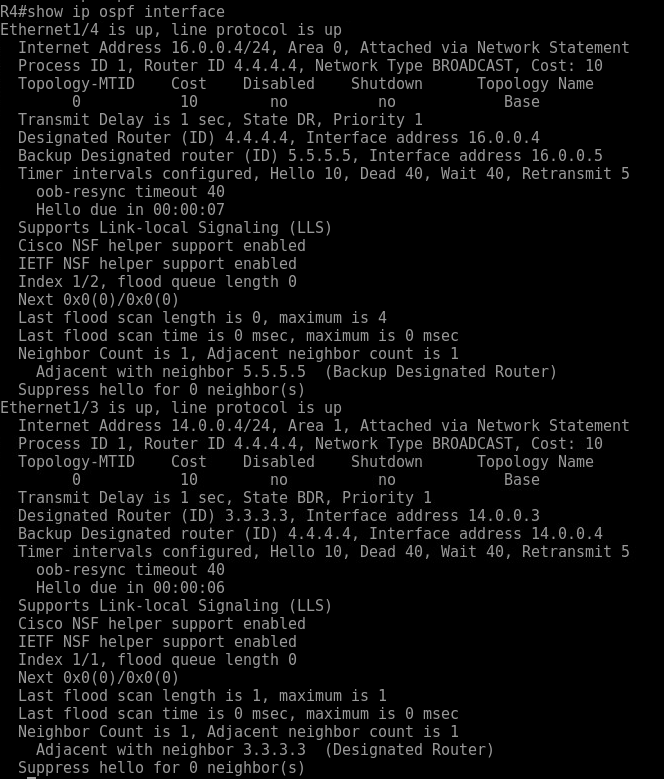 show ip ospf interface 