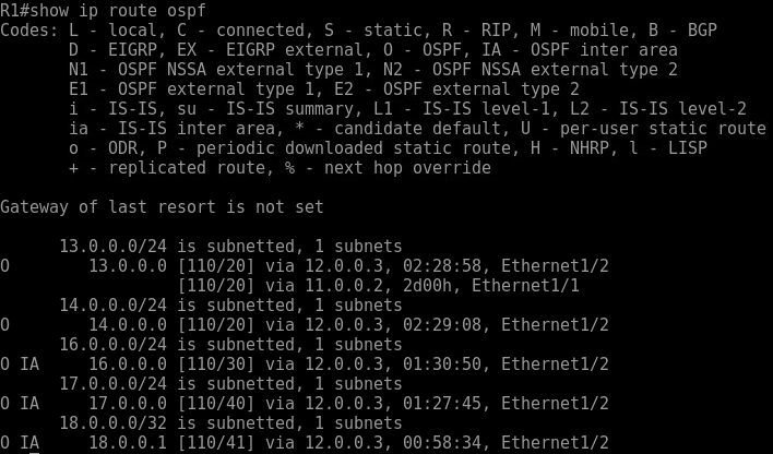 show ip route ospf