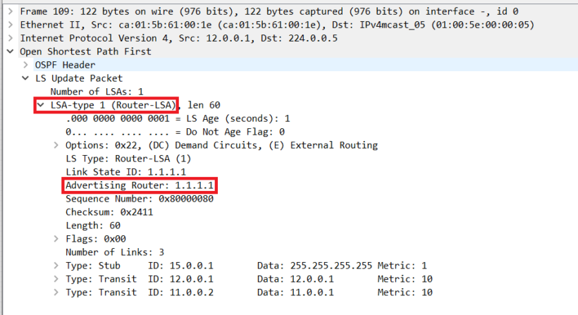 ospf link state advertisement